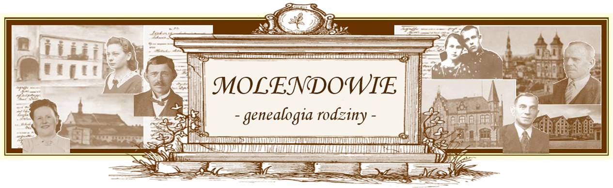 baner-całość.jpg (86 KB)